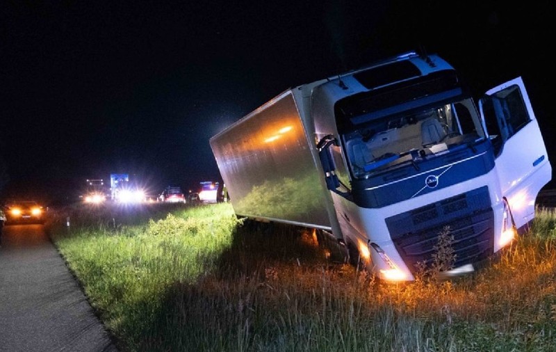 Șofer român de TIR scos de pe șosea de o turmă de căprioare, în Germania