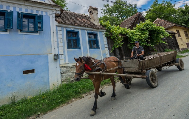 Căruțele fără „toaletă portabilă” pentru animale riscă amenzi de până la 1.000 de lei, dacă circulă în orașul Copșa Mică