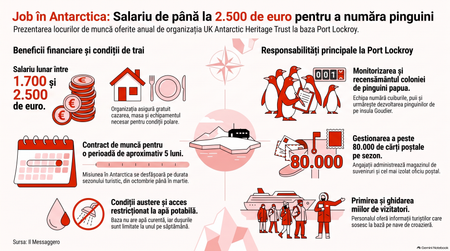 Locuri de muncă în Antarctica / Imagine generată cu AI