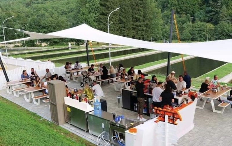 Clientul unei terase din Sibiu a găsit un melc în salată. Conducerea: O dovadă vie a naturii noastre ecologice