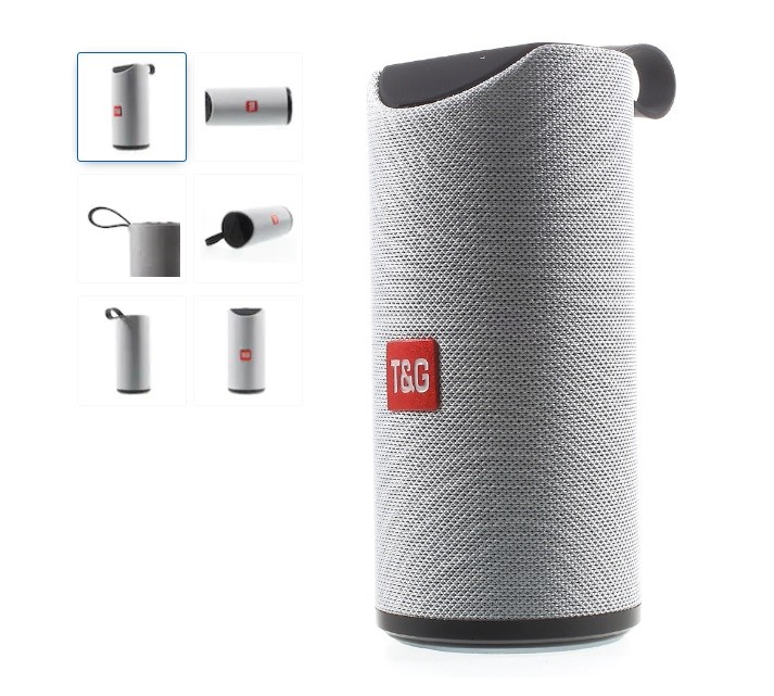 Boxa portabilă Wireless, TG113, Bluetooth, cu Suport pentru mâner