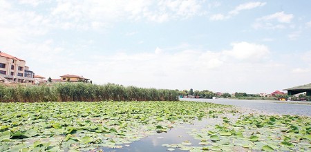 Arhiva foto