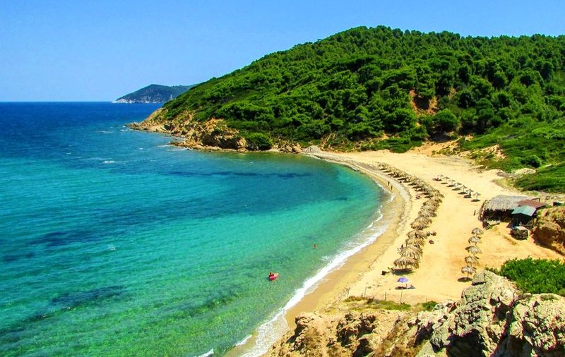 Lucrul considerat ilegal pe insula grecească Skiathos. "S-a umplut cutia de la aeroport cu ele"