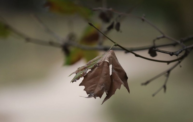 Vremea în perioada 6 aprilie - 3 mai 2026. Temperaturi mai mici decât normalul perioadei și ploi puține