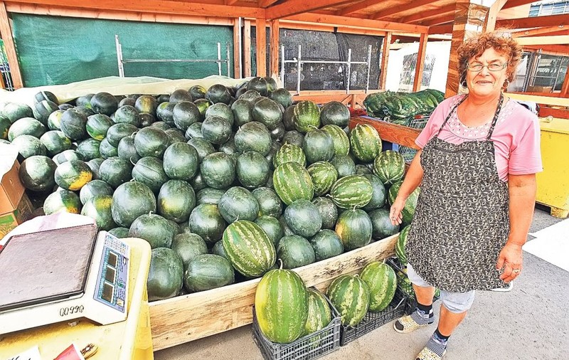 Hai la pepeni de Dăbuleni! Ieri a ajuns în Bucureşti prima «tură» de lubeniţă românească
