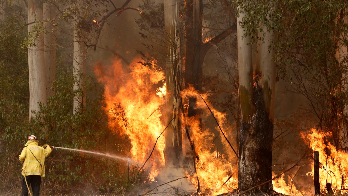 Incendiile de vegetație au anulat Raliul Australiei. ”Gândurie noastre se îndreaptă spre oameni”