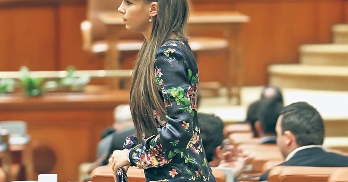 Cătălina Ștefănescu, angajată consilier
