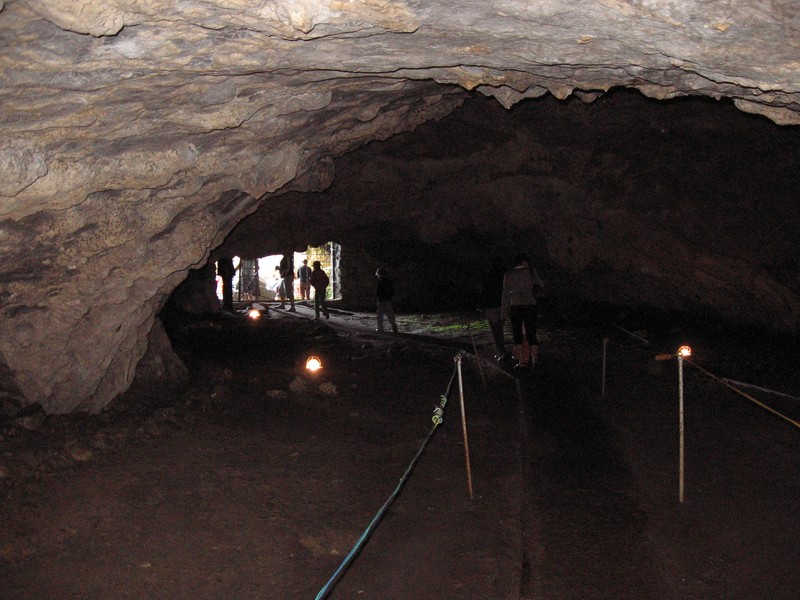 Arhiva foto