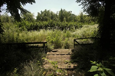 Parcul Bordei, invadat de buruieni