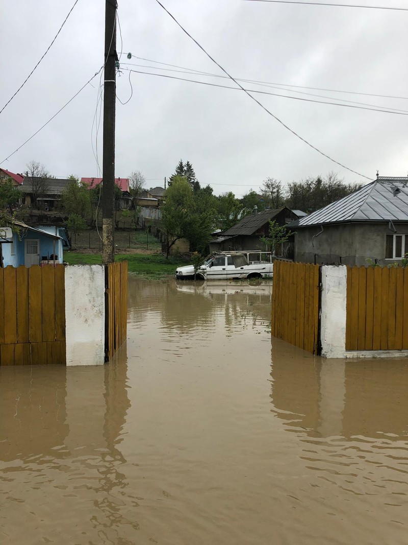 Arhiva foto