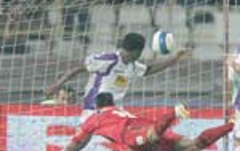 'Cainii' au muscat rau!