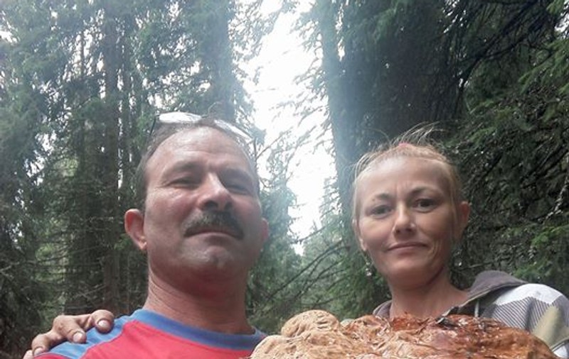 Ciupercă gigant pe Transalpina. Mânătarcă cântărește cât un copil de câteva luni