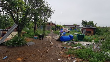Curtea Doinei Leşeschi, la două săptămâni după percheziţie