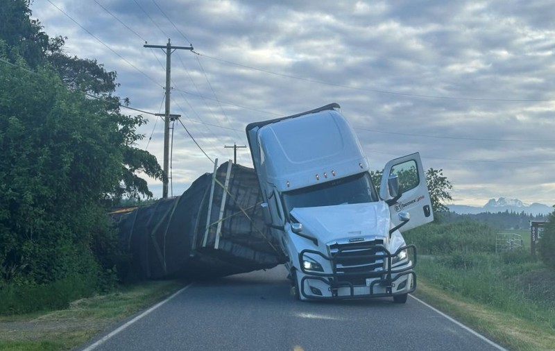 Milioane de albine au scăpat pe șosea după ce un camion s-a răsturnat în SUA. Autoritățile au declarat stare de alertă | VIDEO