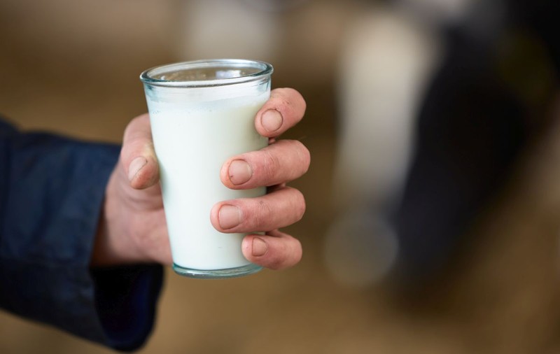 Litrul de lapte se vinde cu 70 de bani la ferme, dar apare cu 2,4 lei în acte. De ce sunt fermierii români amenințați de faliment