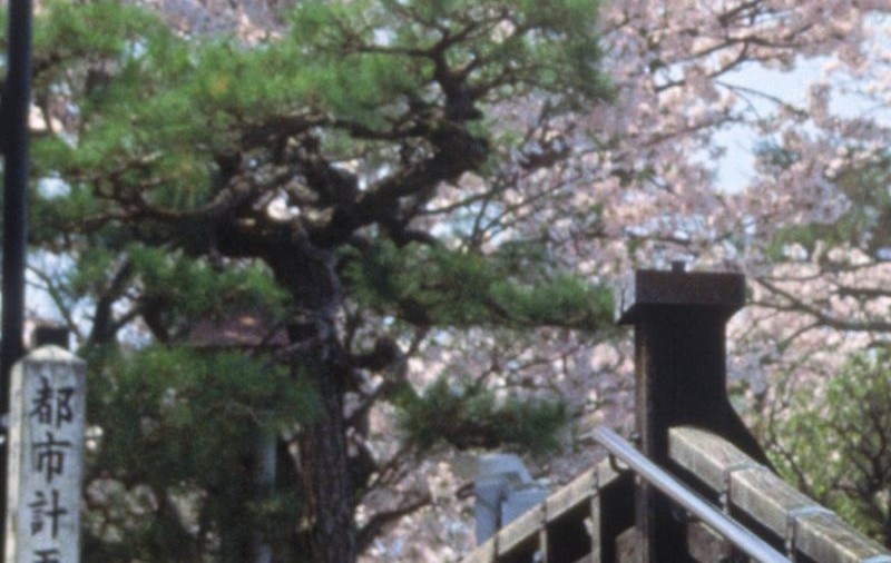 CRIMĂ TERIBILĂ ÎN JAPONIA. O ELEVĂ de 15 ani ŞI-A UCIS O COLEGĂ DE CLASĂ: i-a tăiat CAPUL şi MÂNA STÂNGĂ
