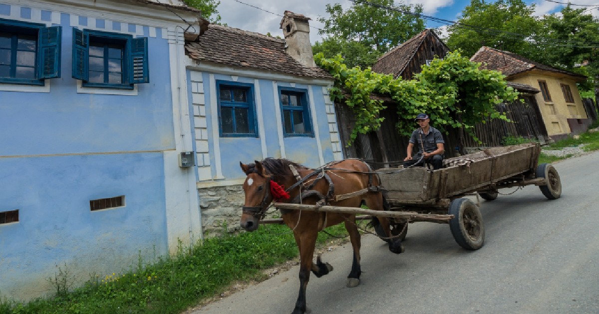 Căruță agricolă în satul Sibiel, județul Sibiu