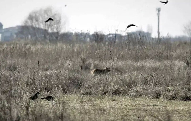 Un afacerist român a cumpărat cel mai mare teren din București, un fost CAP de 64 de hectare