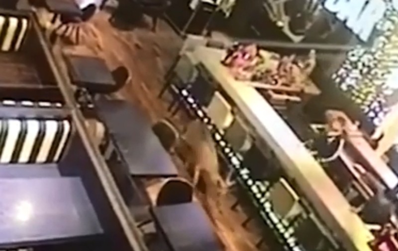 Surpriză totală pentru cei prezenți într-un bar la primele ore ale dimineții! Un "client" neobișnuit și-a făcut apariția | VIDEO