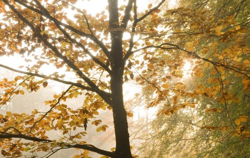 Temperaturi de VARĂ la sfârșitul lui septembrie. Vezi PROGNOZA METEO pentru săptămâna viitoare!