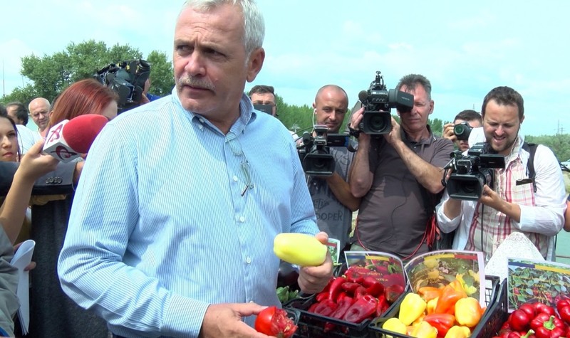 Dragnea, despre averea sa
