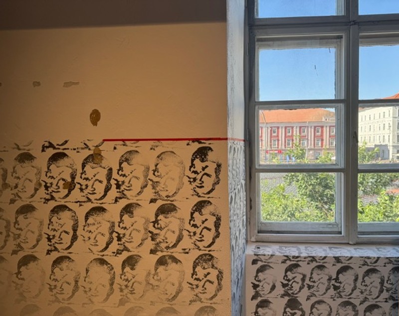 Cum a devenit Timișoara pol al artei contemporane în Europa de Est: „În momente de instabilitate, spațiile artistice devin adesea adăposturi pentru gândirea liberă”