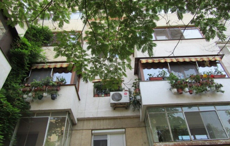 Balcoanele cu flori la blocul din Brăila