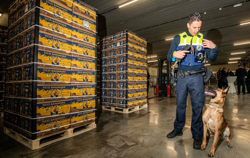 Cantitate record de cocaină, de 116 tone, confiscată de vameșii belgieni în 2023. Violența legată de traficul de droguri a crescut în UE
