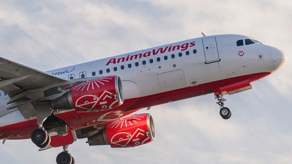 O aeronavă Animawings (Airbus A320-214) cu numărul de înmatriculare YR-AGD, surprinsă în timp ce decolează de pe pistă. Sursă foto: Shutterstock