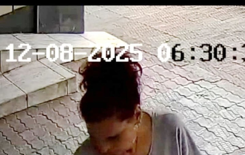 Femeia filmată în Găești când arunca mai mulți pisoi abia fătați în fața unei farmacii veterinare, găsită și amendată de polițiști
