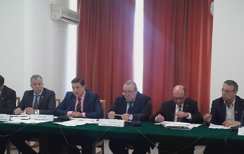 UPDATE. Legea grațierii: Se grațiază pedepsele de până la 3 ani și cei peste 70 de ani. Femeile însărcinate și cei peste 60 de ani scapă de jumătate de pedeapsă