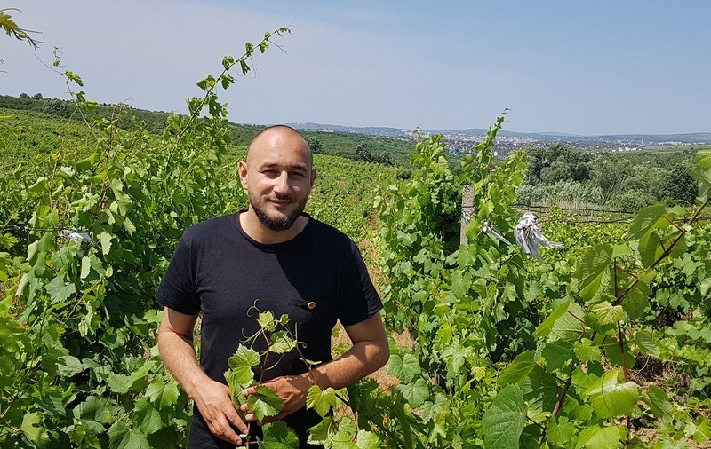 VIDEO/ Fiul unui preot din Iași produce și vinde vinuri cu etichete desenate de Horațiu Mălăele
