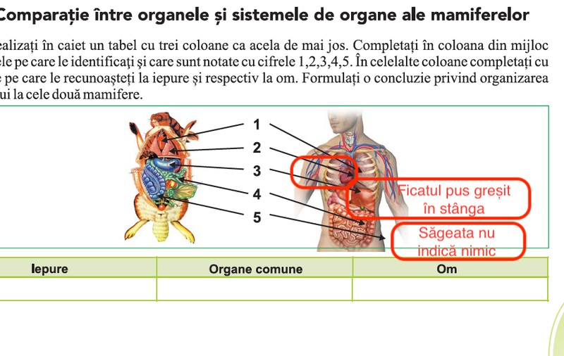 Greșeli grave și în manualul de Biologie de clasa a VI-a: Inima și ficatul sunt puse greșit. Numeroase dezacorduri