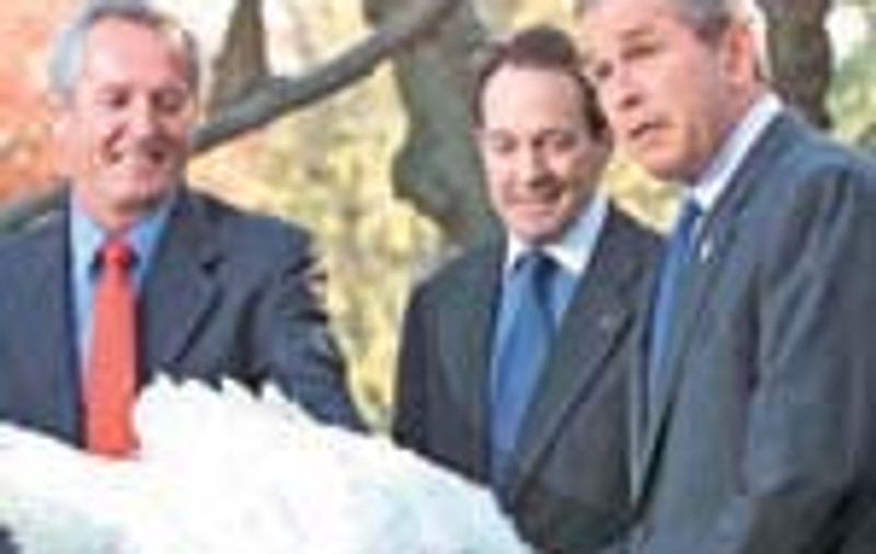 Momente penibile in 'meseria' de politician