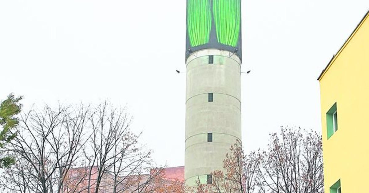 Arhiva foto