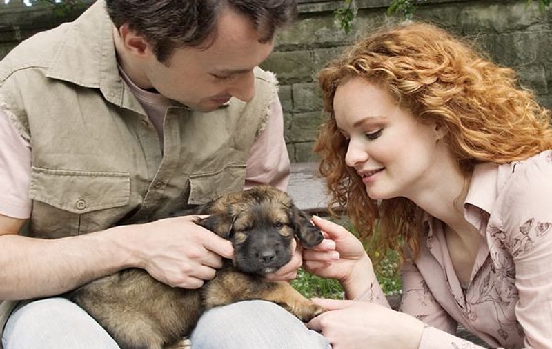 Animalele de companie cresc șansele stăpânului de a ”agăța”