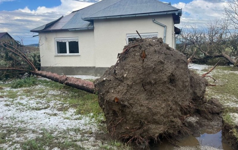 Sute de gospodării, afectate de furtuna din Bistriţa-Năsăud | VIDEO