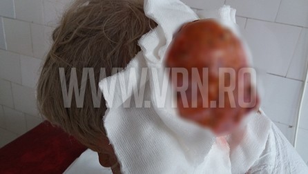 Arhiva foto