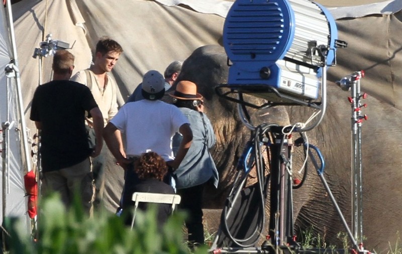 Robert Pattinson era să fie strivit de un elefant