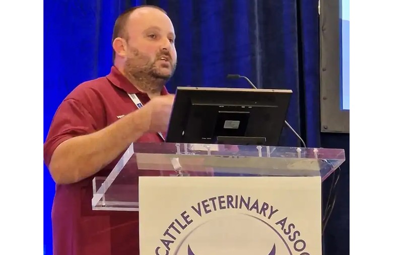 Român, medic veterinar de 12 ani în Marea Britanie: „Aici se consideră că noi nu mințim, nu înșelăm, se merge pe încredere”