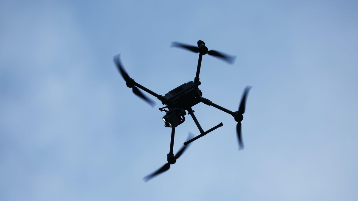 Dronă. Imagine ilustrativă Foto: Profimedia