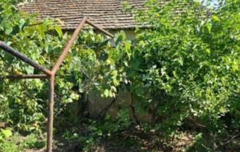 Satul din România unde se vinde o proprietate cu două case, două anexe și 1.500 mp de teren, la 56.200 de lei