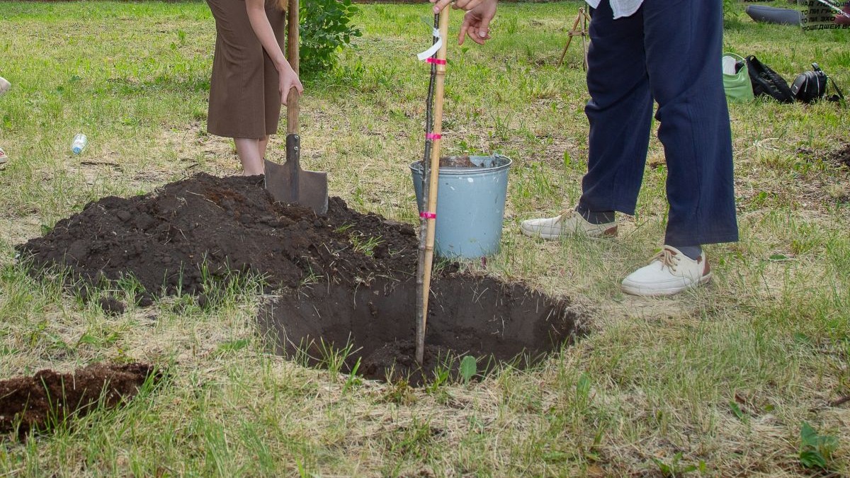 O femeie și un bărbat, cărora nu li se vede fața, sapă în grădină și au făcut o gaură mare în pământ. În jur se vede iarbă verde