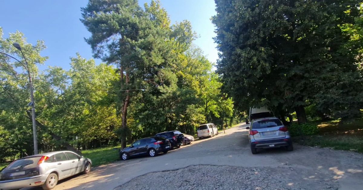 Începe reabilitarea aleii din Parcul Herăstrău