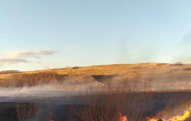 Opt incendii de vegetație, în județul Botoșani. 70 de hectare au ars în doar câteva ore