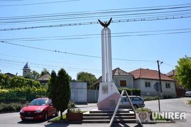 Arhiva foto