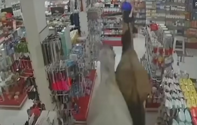 Momentul în care doi cai scăpați de sub control au intrat într-o farmacie, în Rio de Janeiro. VIDEO