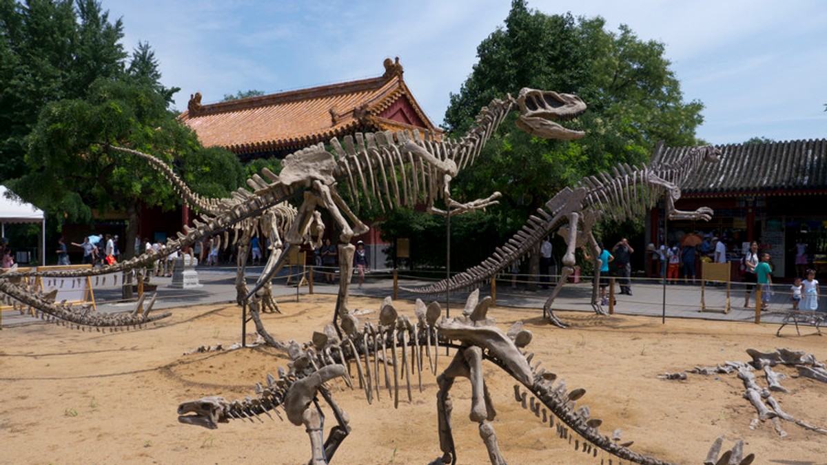 O nouă specie de dinozaur a fost descoperită în China. De ce a fost botezat ”Dragonul dansator”