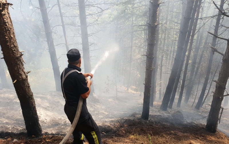 VIDEO/ Incendiu de pădure pe dealul Mateiaş, în apropiere de Câmpulung Muscel