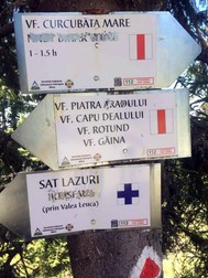 Marcaj distrus